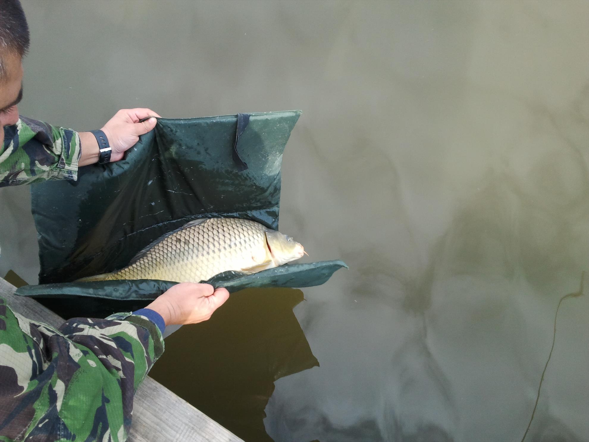 Magura 9, 15.10.2011 - photo0092.jpg